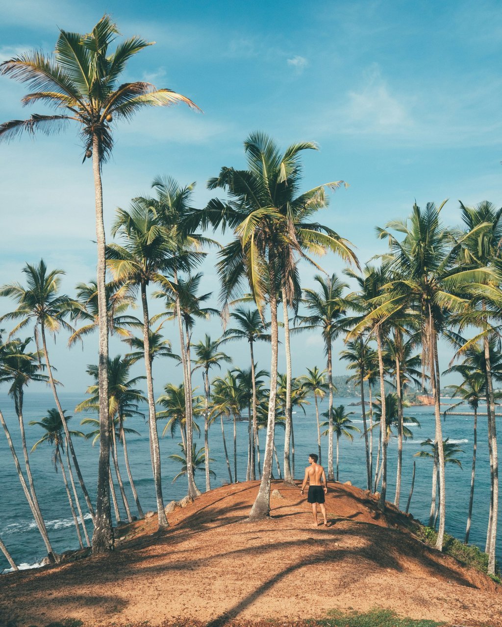 Sri Lanka landscape